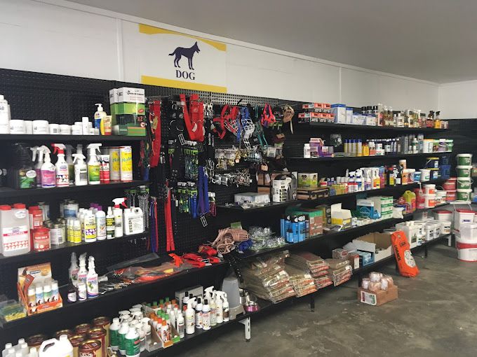 Odoo - Sample 3 for three columns