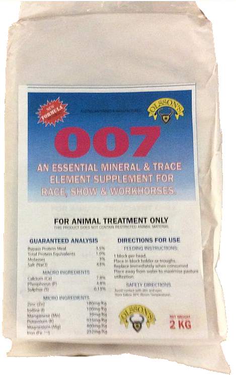 007 Horse Block 2kg