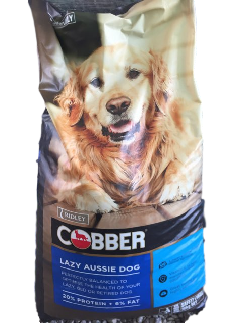 Cobber shop lazy dog