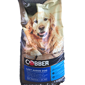Cobber puppy top food