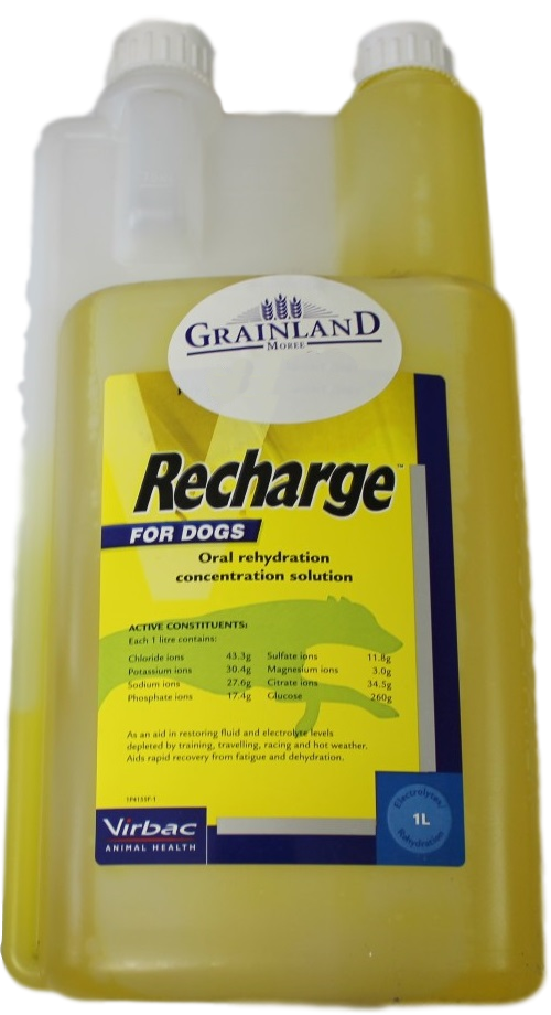 Recharge Greyhound 1Lt