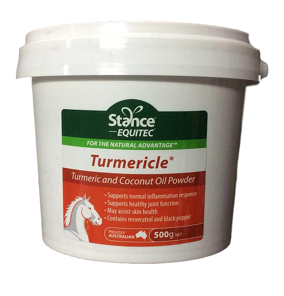 Stance Equitec Turmericle 500gm