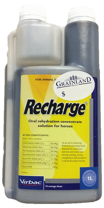 Recharge Horse 1Lt