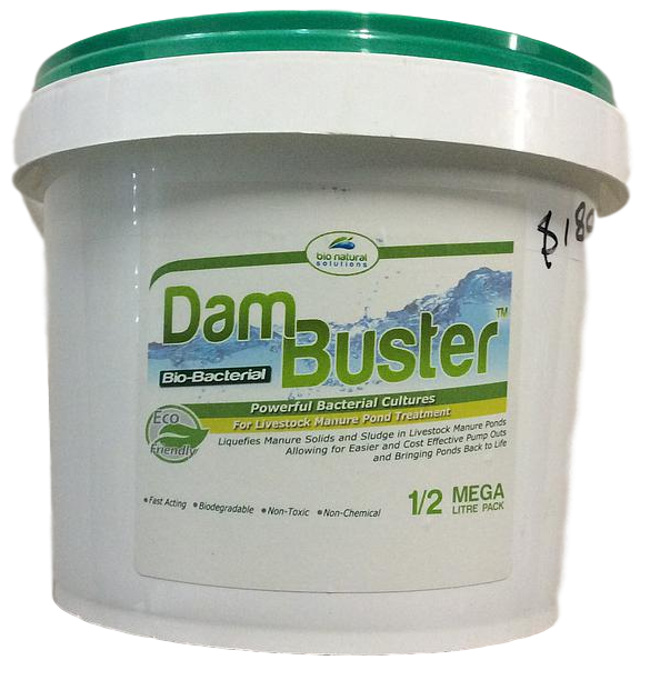 Dam Buster 1/2Meg