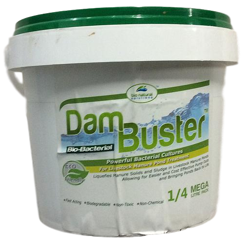 Dam Buster 1/4Meg