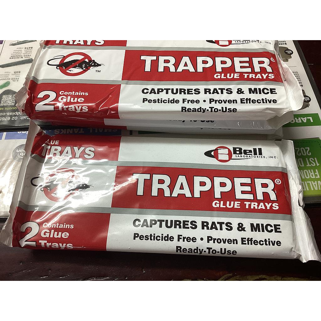 Glue Trap Rat 2pk