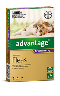 Advantage Cat 4kg 4's