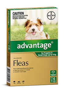 Advantage Dog 4kg 4's