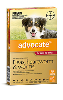 Advocate Dog 10-25kg 6's