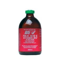 Folic B12 100ml