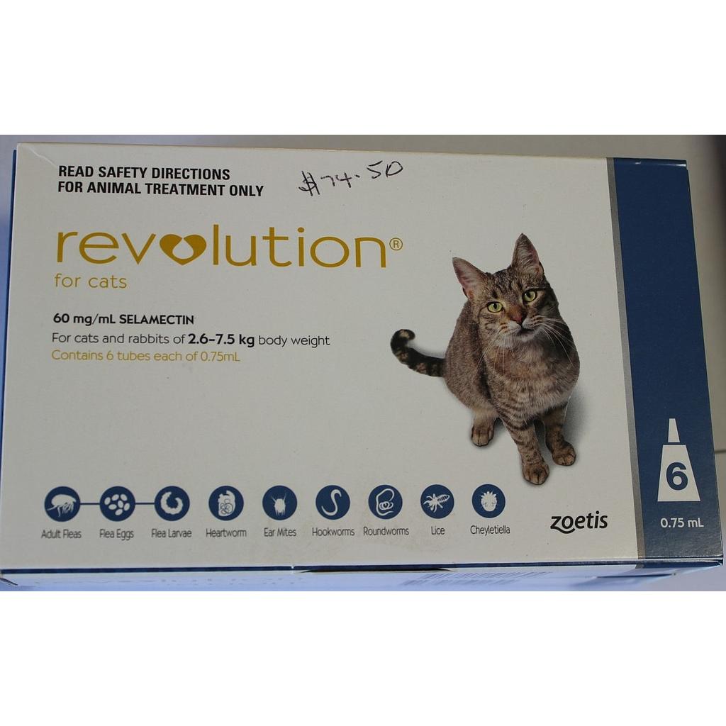 Revolution Cat Blue 6's