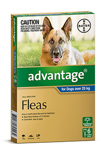 Advantage Dog 25kg 4's