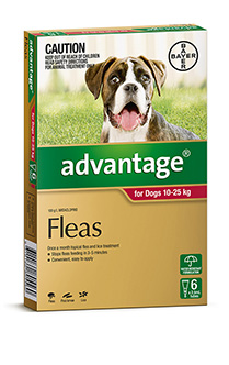 Advantage Dog 10-25kg 4's