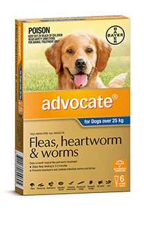 Advocate Dog 25kg + 6's